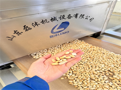 從多個維度詳細分析隧道式花生米微波烘烤設(shè)備的優(yōu)勢