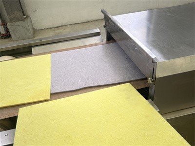 Microwave equipment promotes continuous production of water-based coatings？